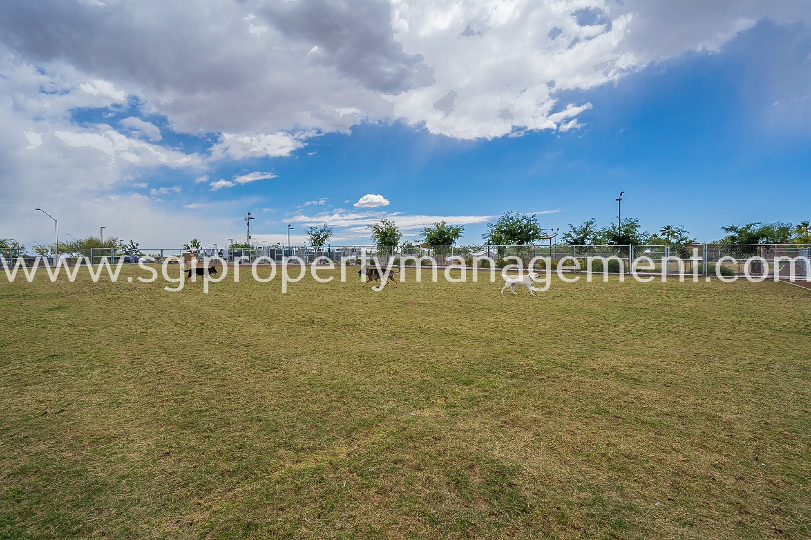 Anthem home with 3 bedrooms, den and 2 bathrooms property image