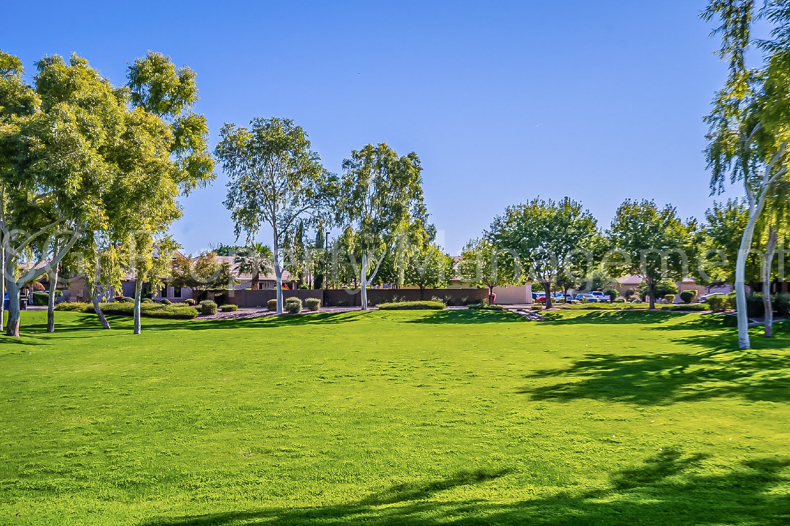 Gorgeous Suprise Farms home ready for move in property image