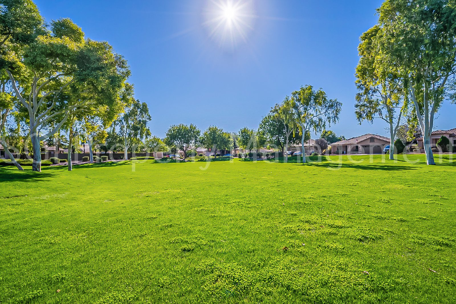 Gorgeous Suprise Farms home ready for move in property image