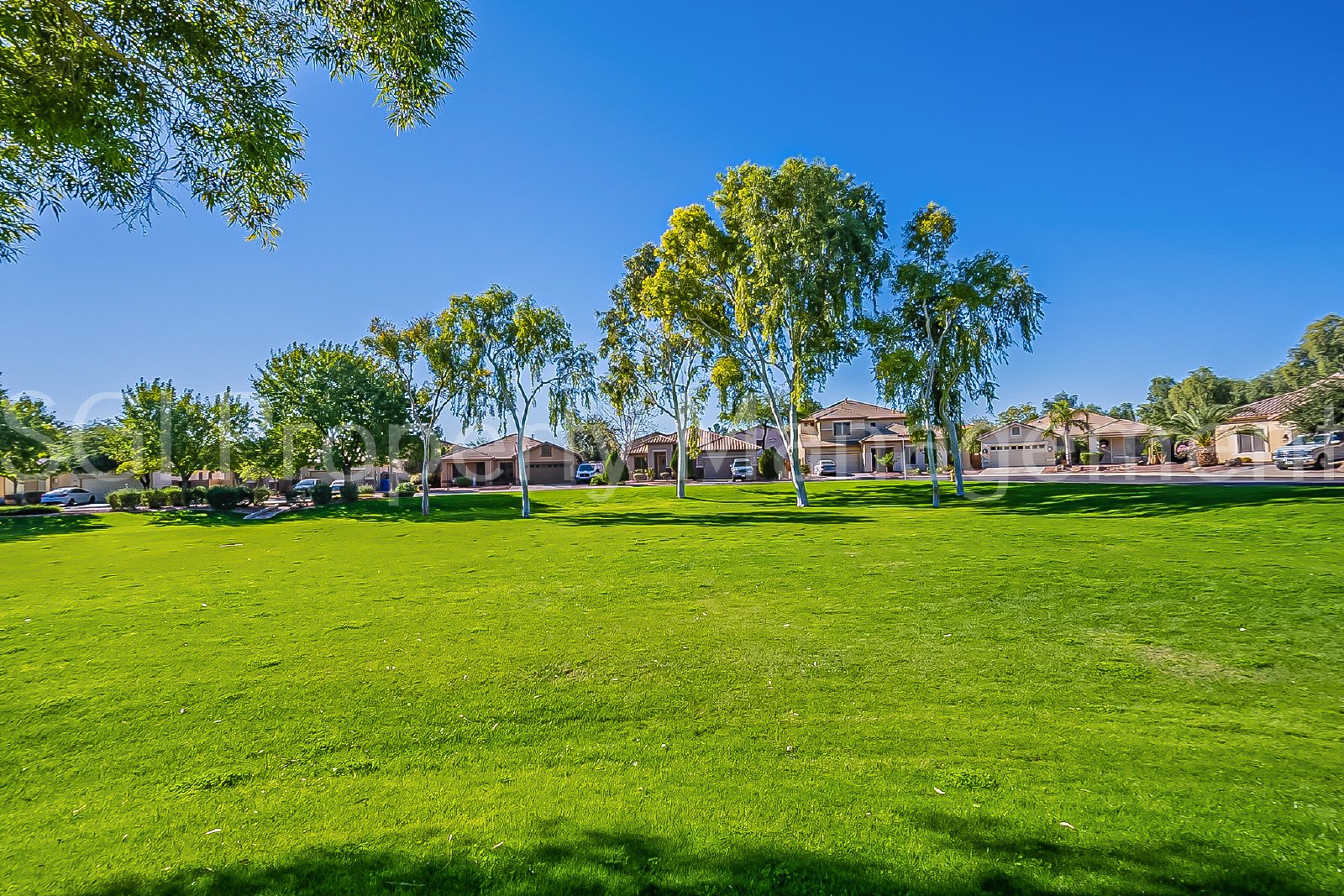 Gorgeous Suprise Farms home ready for move in property image