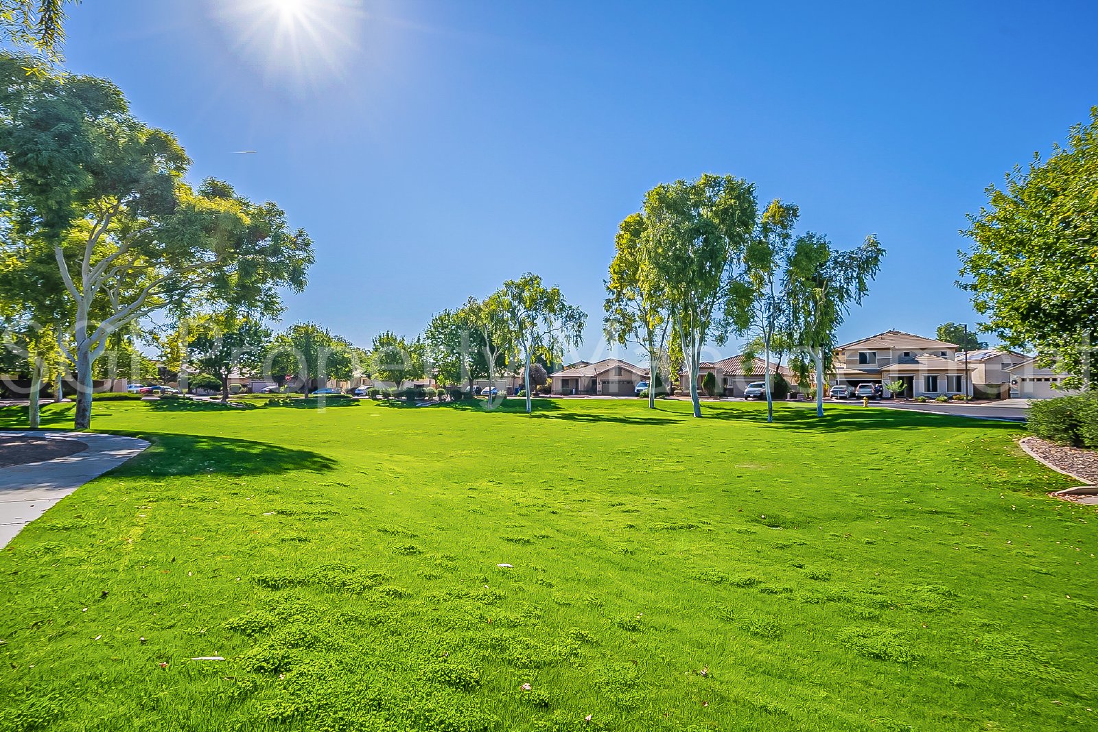 Gorgeous Suprise Farms home ready for move in property image