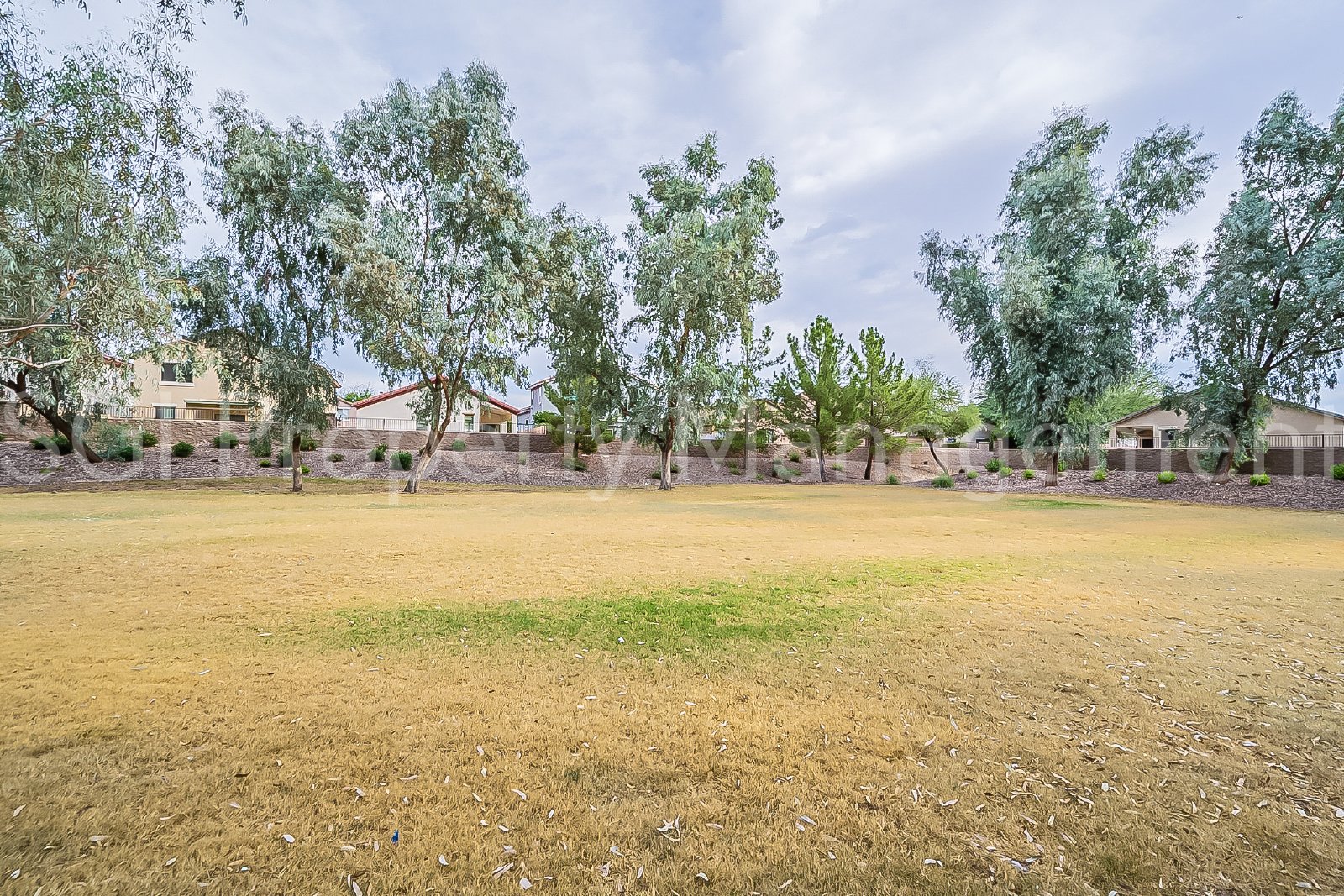Gorgeous Suprise Farms home ready for move in property image