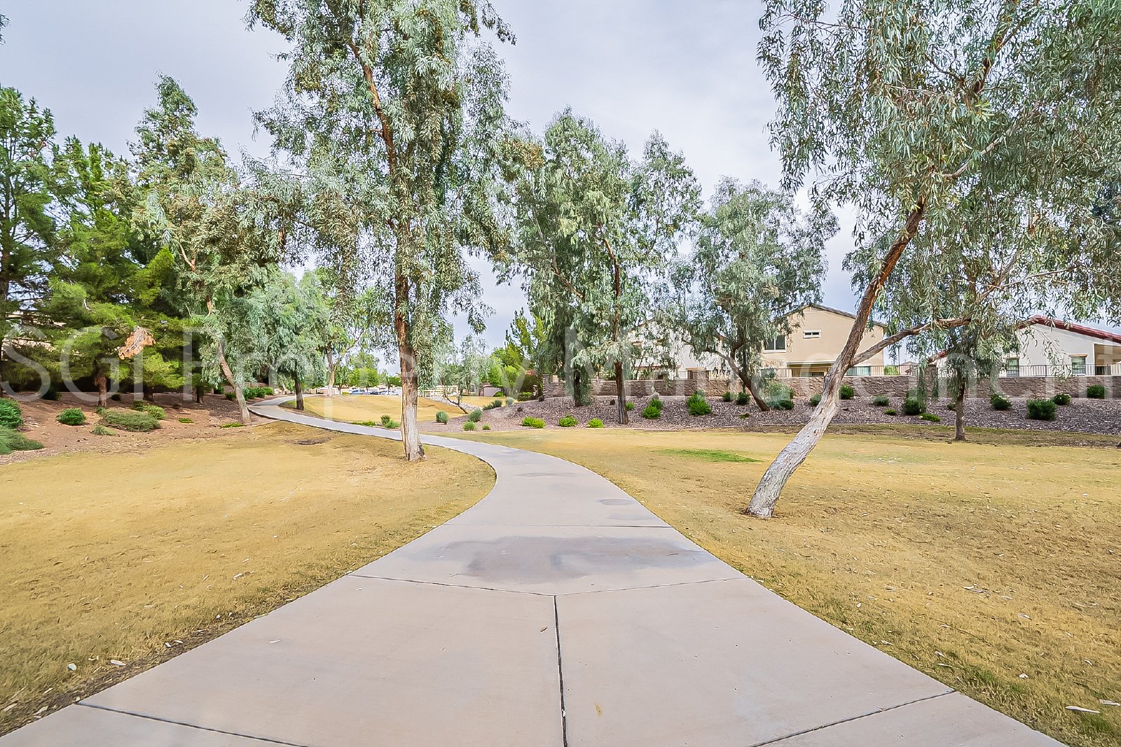 Gorgeous Suprise Farms home ready for move in property image