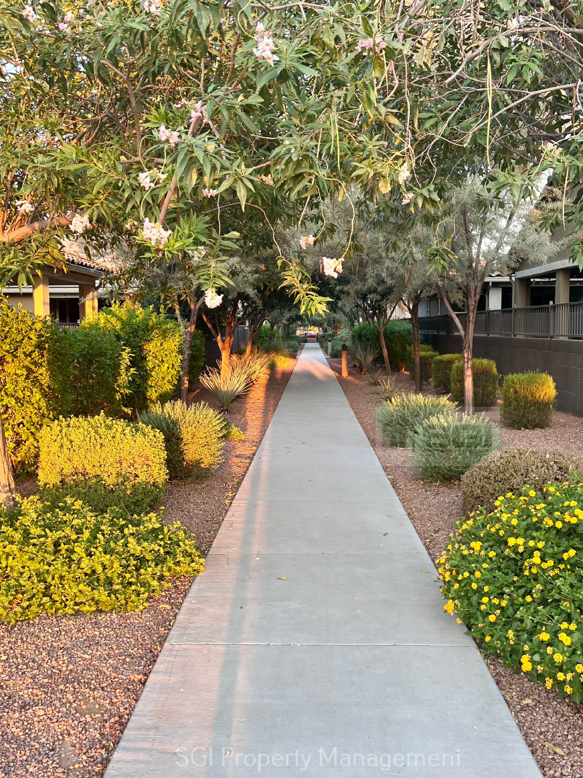 4 bedroom, 2 bathroom home nestled within the desirable Dahlia Pointe. property image