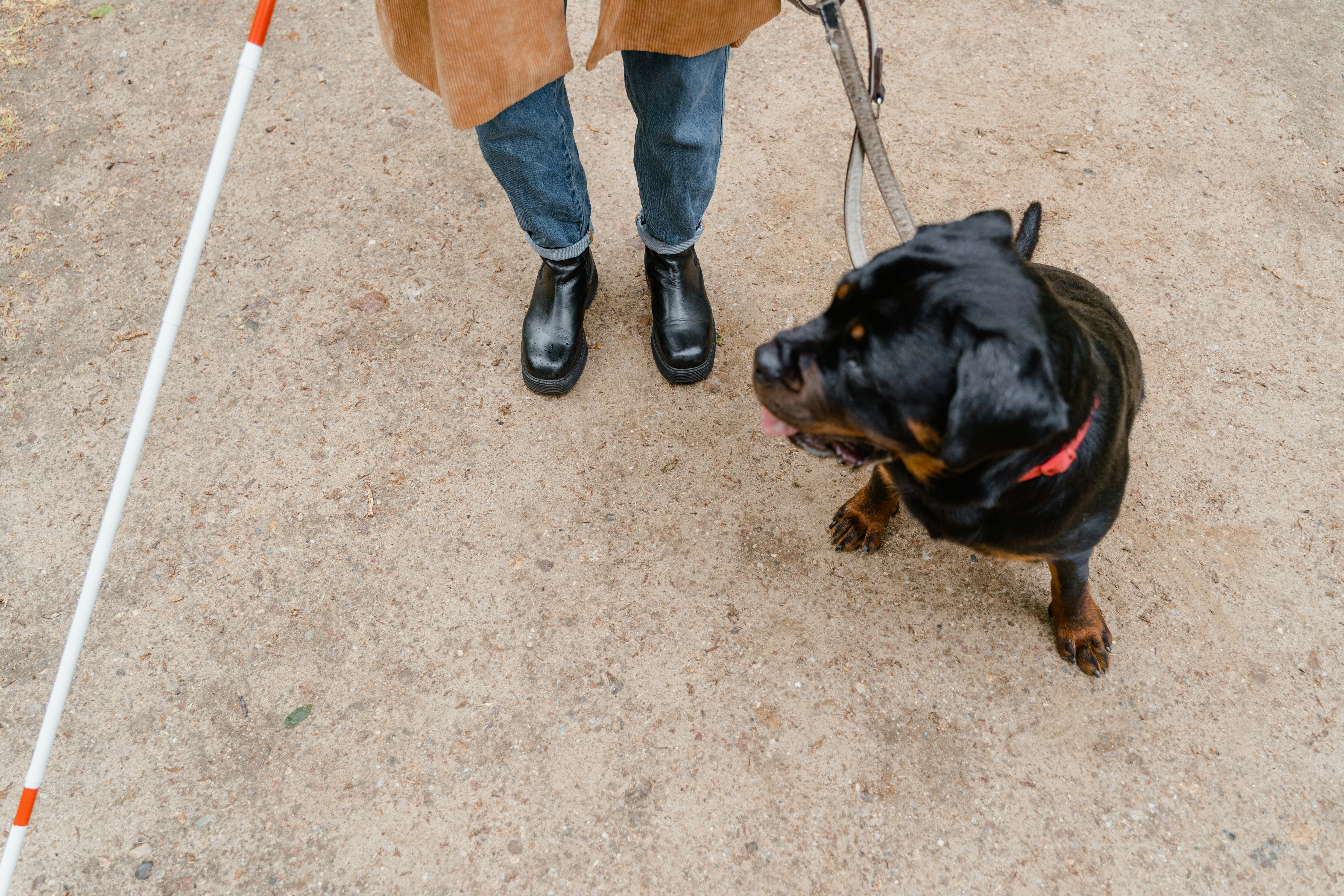 someone with a white cane and a seeing-eye dog