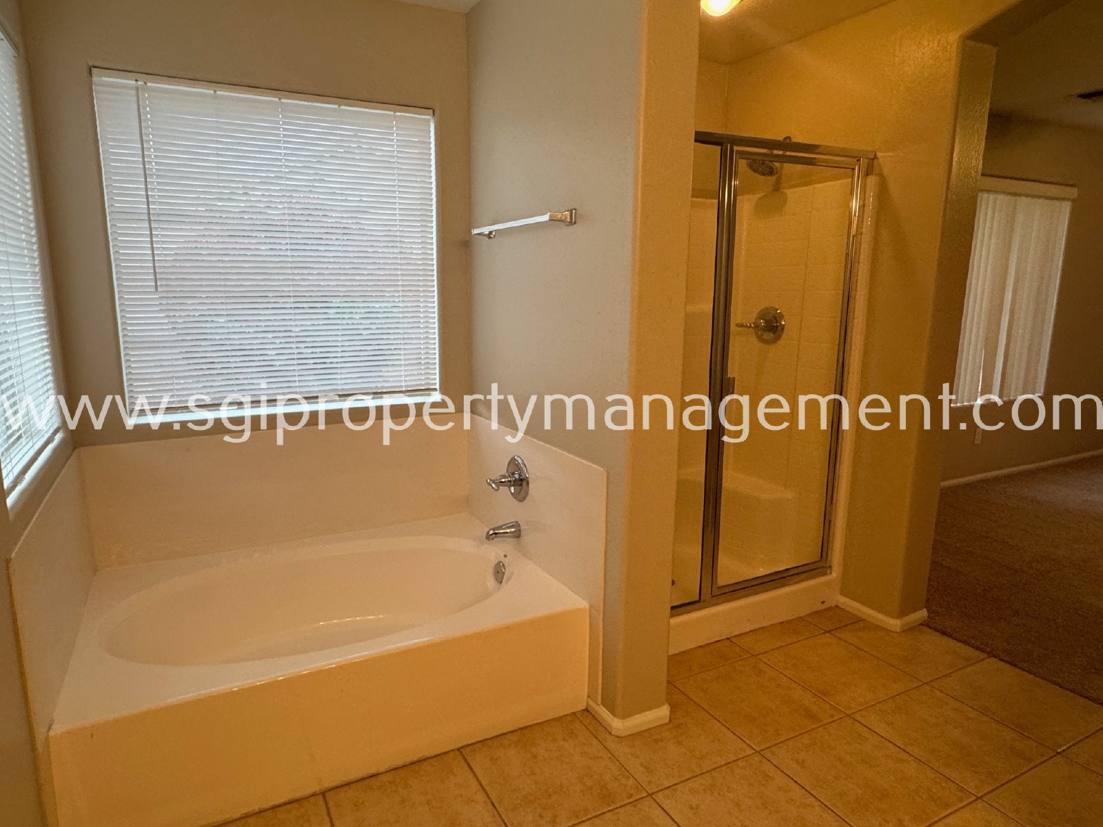 Charming 3 bedroom single level San Tan Valley home property image