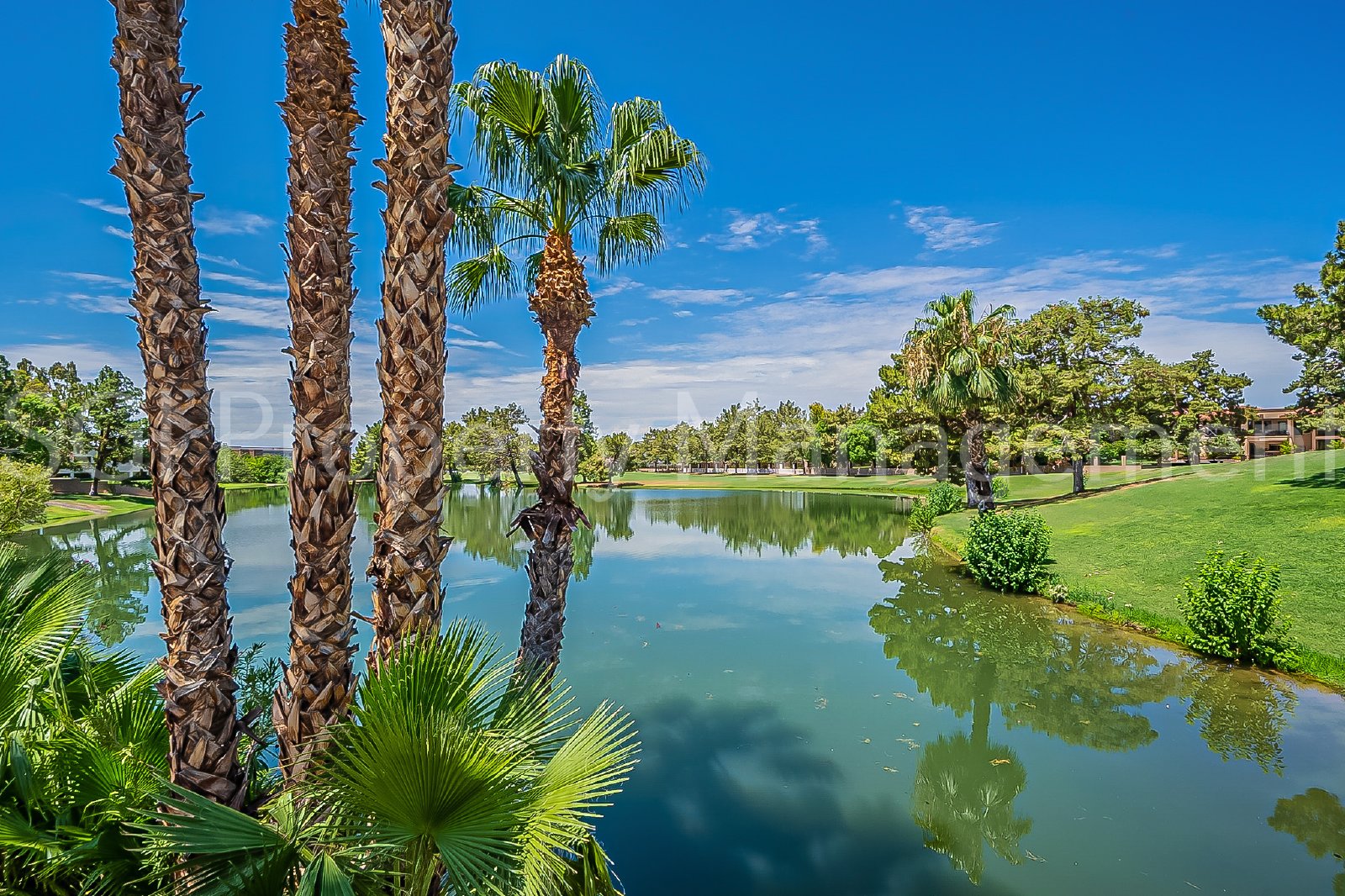 Great condo ready for move in property image