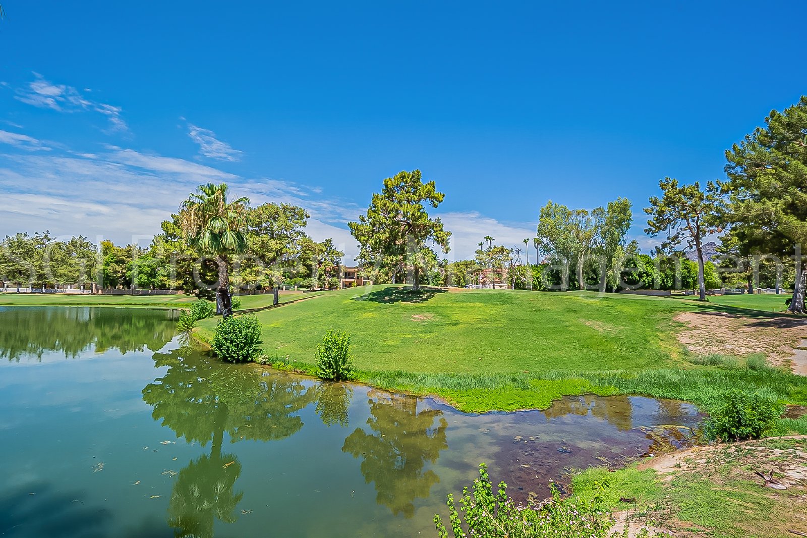 Great condo ready for move in property image