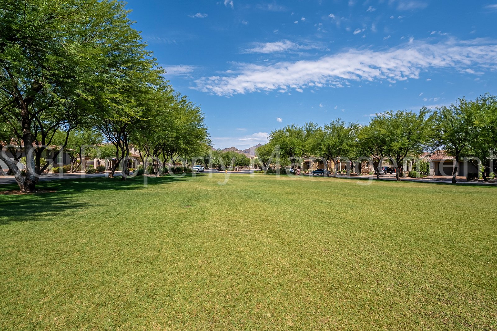 Luxury home in DC Ranch with private pool property image