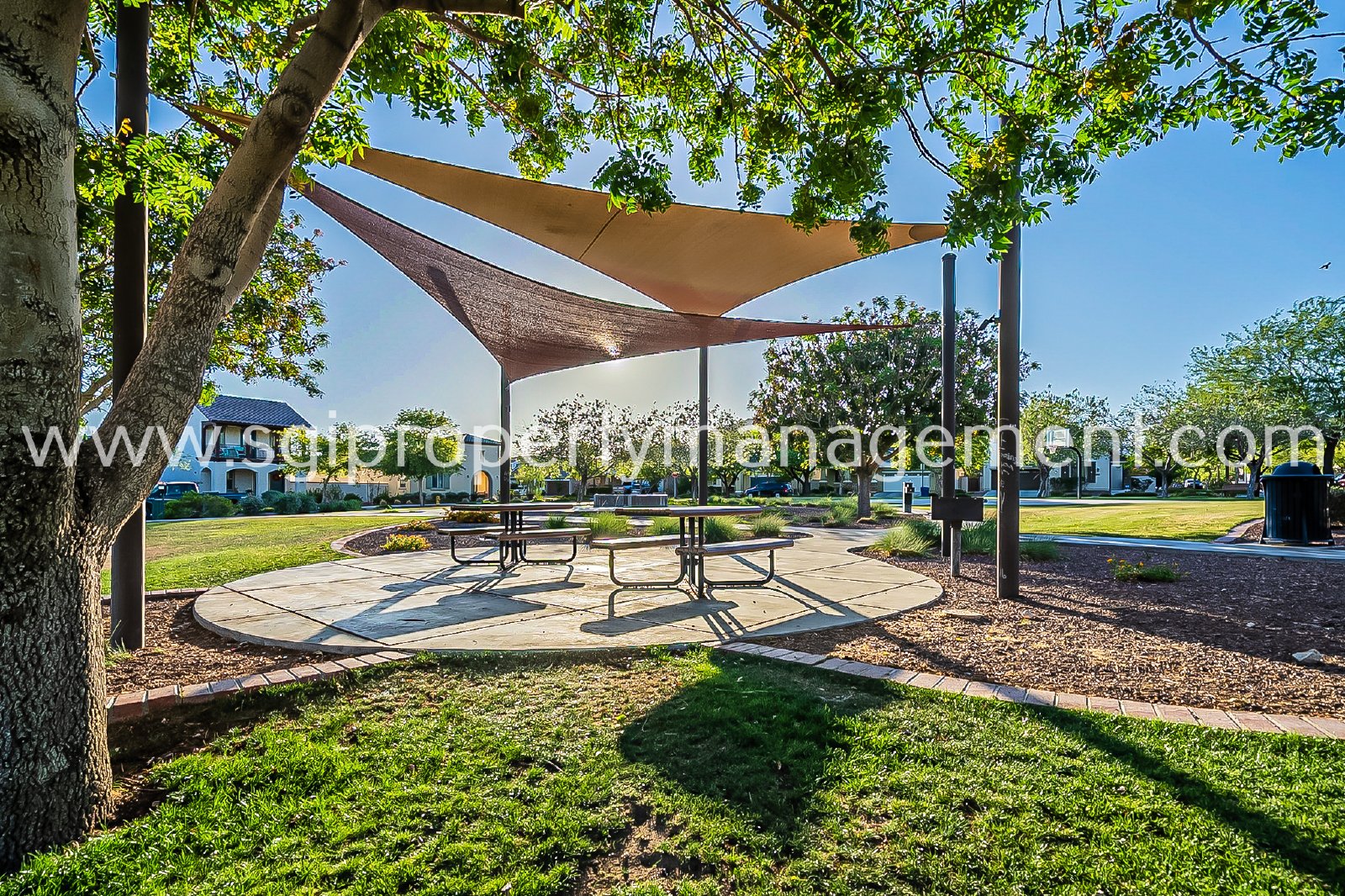 4 Bedroom home in Verrado property image