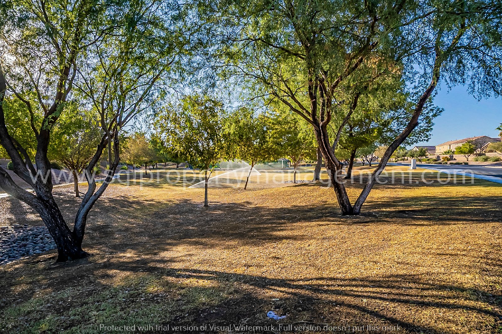 Beautiful split floorplan in a great neighborhood property image